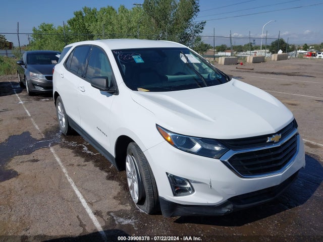 Chevrolet EQUINOX LS 2019 3GNAXHEV1KS635332 Image 1