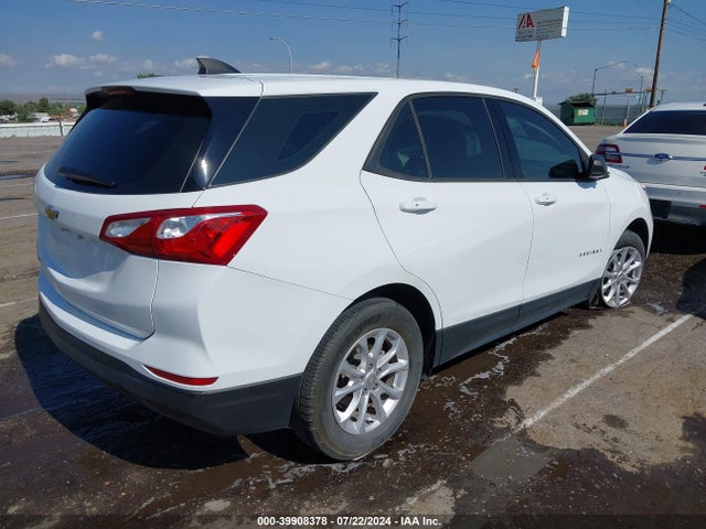 Chevrolet EQUINOX LS 2019 3GNAXHEV1KS635332 Image 4