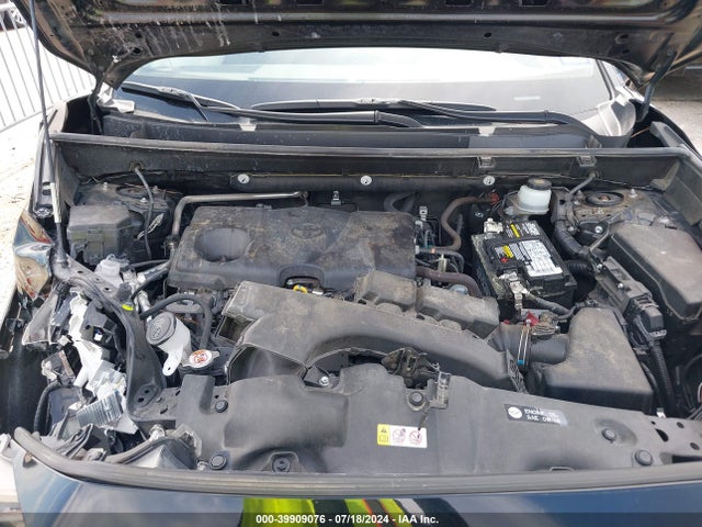 Toyota Rav4 Limited 2019 JTMY1RFV0KD005380 Image 10