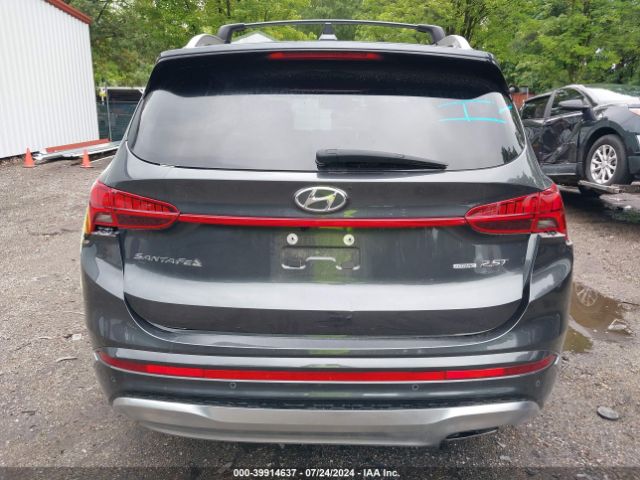 5NMS5DAL7PH536223 Hyundai Santa Fe Calligraphy