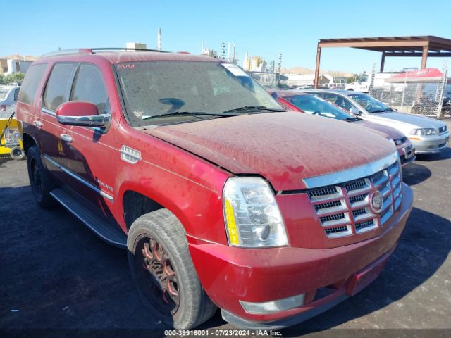 2011 CADILLAC ESCALADE 1GYS3AEF7BR196868