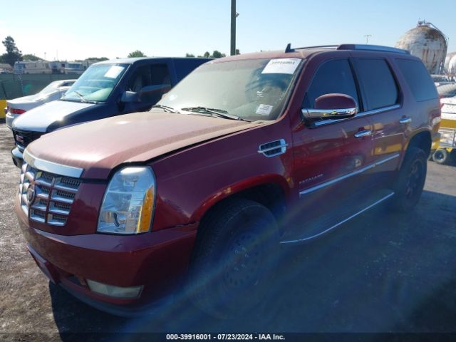 2011 CADILLAC ESCALADE 1GYS3AEF7BR196868 Photo 1