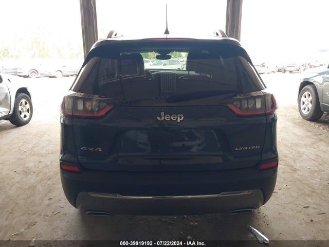 Jeep Cherokee Limited 4x4 2019 1C4PJMDX0KD476416 Image 16