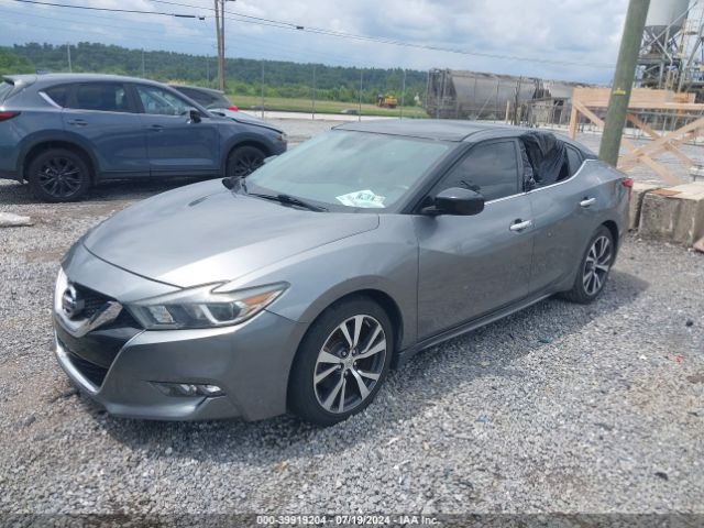 1N4AA6AP2GC436010 Nissan Maxima 3.5 S