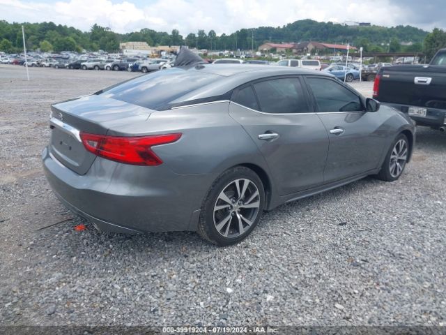1N4AA6AP2GC436010 Nissan Maxima 3.5 S