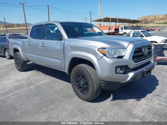 2019 3TMBZ5DN8KM022488 main image
