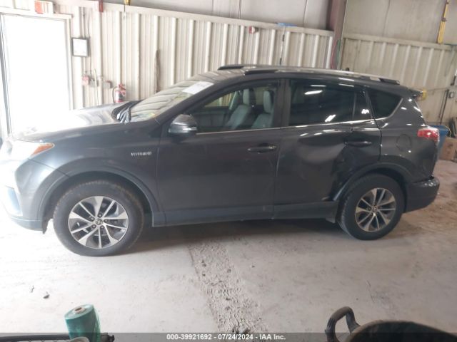 JTMRJREV7JD247653 Toyota Rav4 Hybrid Xle