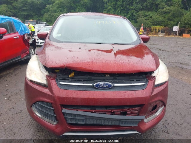 Ford ESCAPE SE 2014 1FMCU0GX9EUA78373 Image 12