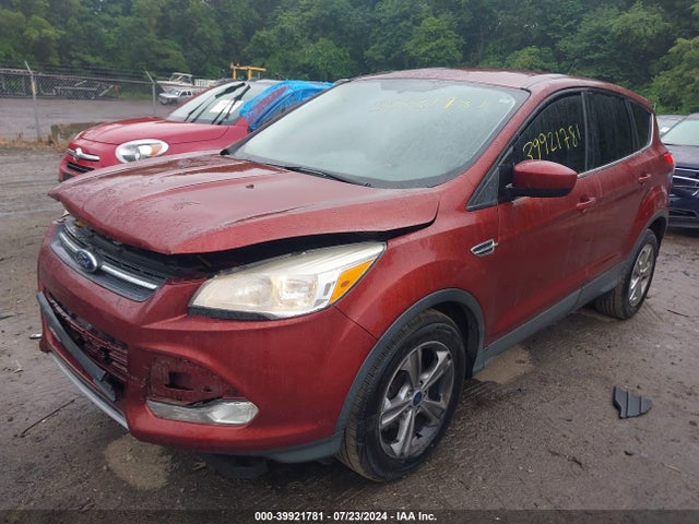 Ford ESCAPE SE 2014 1FMCU0GX9EUA78373 Image 2