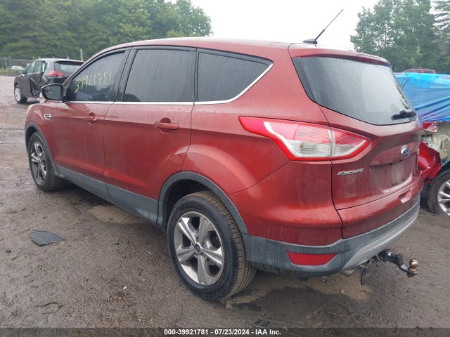 Ford ESCAPE SE 2014 1FMCU0GX9EUA78373 Image 3