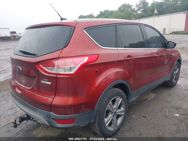 Ford ESCAPE SE 2014 1FMCU0GX9EUA78373 Image 4