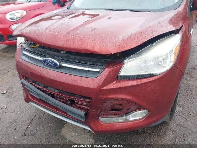 Ford ESCAPE SE 2014 1FMCU0GX9EUA78373 Image 6