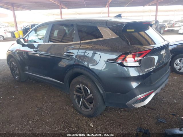 KNDPUCAG2P7016685 KIA Sportage Hybrid Lx