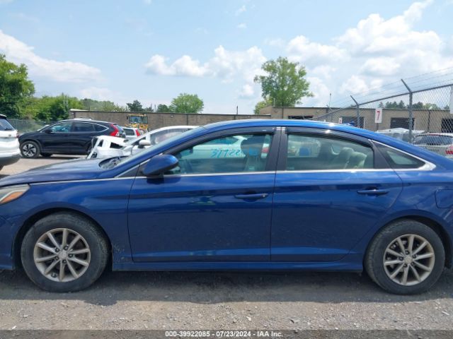 5NPE24AF7KH772558 Hyundai SONATA SE
