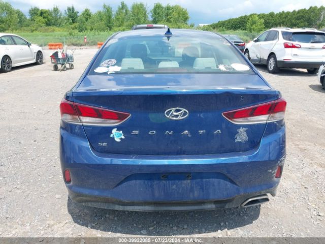 5NPE24AF7KH772558 Hyundai SONATA SE