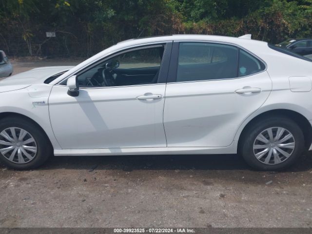 4T1H31AK5MU565919 Toyota Camry Le Hybrid