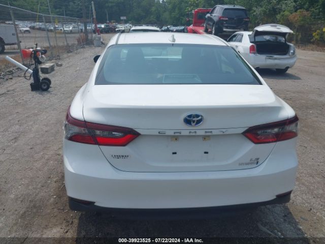 4T1H31AK5MU565919 Toyota Camry Le Hybrid