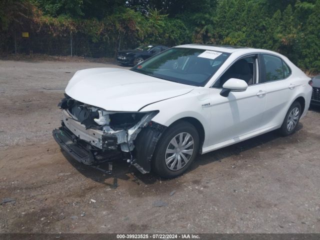 4T1H31AK5MU565919 Toyota Camry Le Hybrid