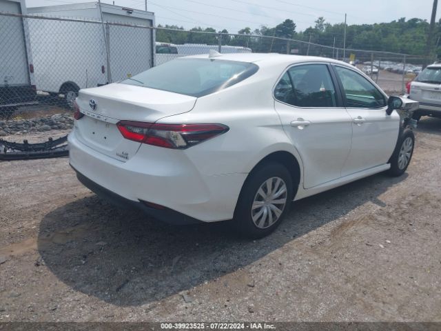 4T1H31AK5MU565919 Toyota Camry Le Hybrid