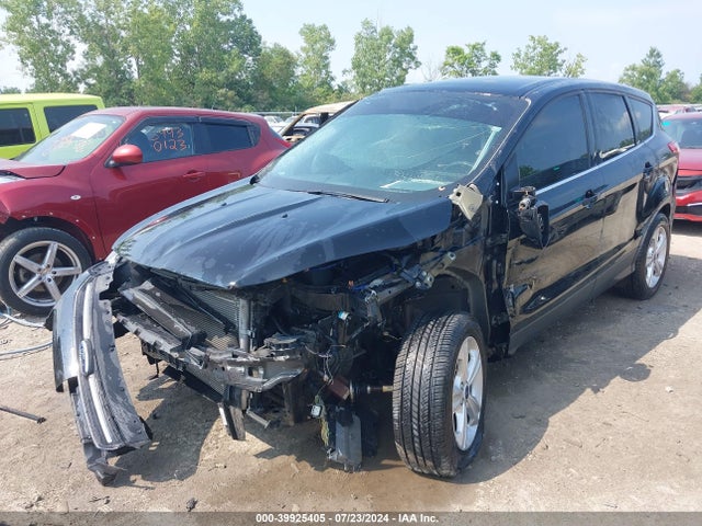 Ford ESCAPE SE 2016 1FMCU0G71GUB55241 Image 2