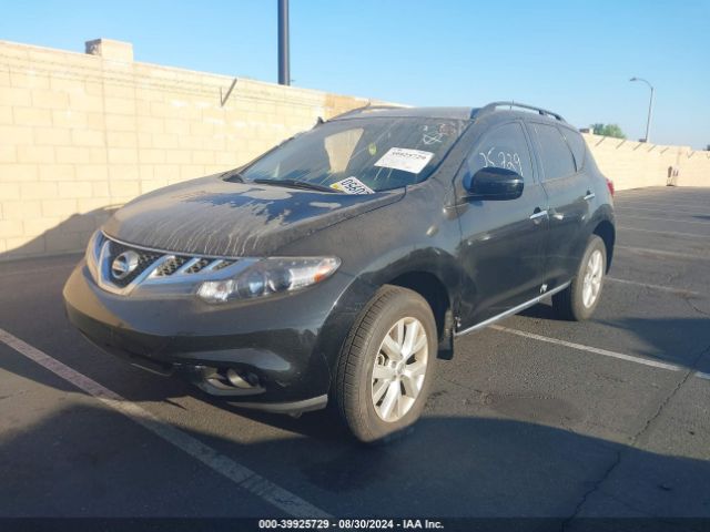 JN8AZ1MU3EW417134 Nissan MURANO SV