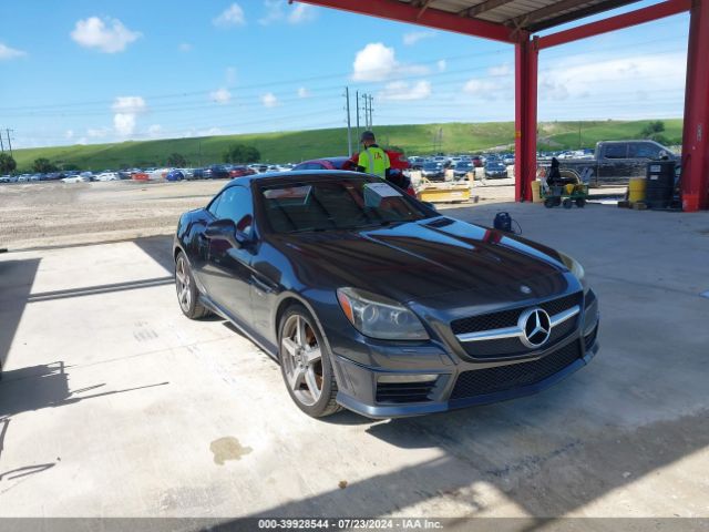 2013 MERCEDES-BENZ SLK 55 AMG WDDPK7FA4DF049485