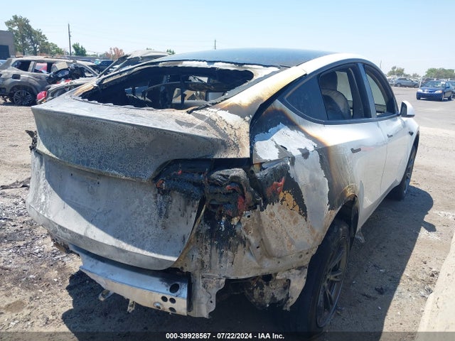 2024 TESLA MODEL Y 7SAYGAEEXRF122732 Photo 3