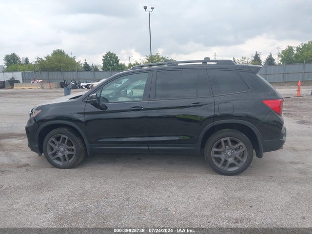 Honda Passport Awd Ex-l 2023 5FNYF8H57PB003084 Image 14