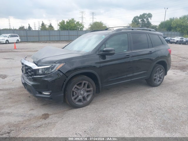 Honda Passport Awd Ex-l 2023 5FNYF8H57PB003084 Image 2