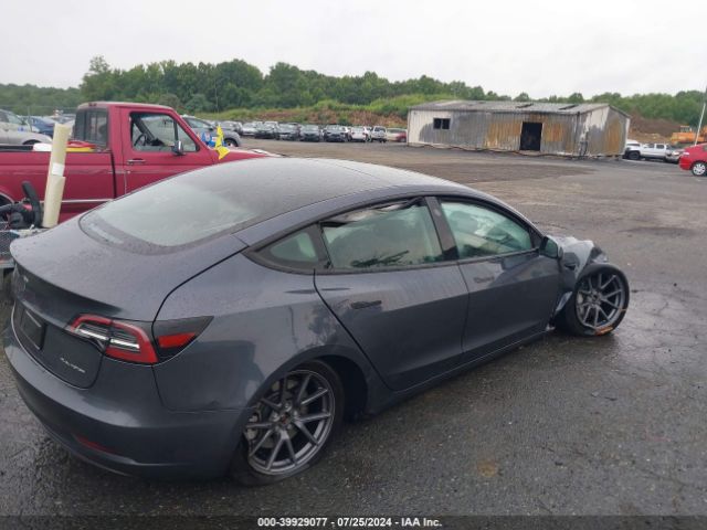 2023 TESLA MODEL 3 5YJ3E1EB0PF625914 Photo 3