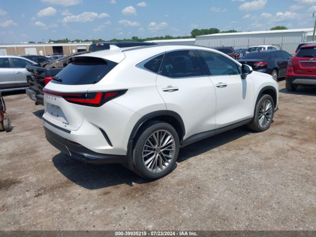 JTJGKCEZ6P5007059 Lexus Nx 350h Premium