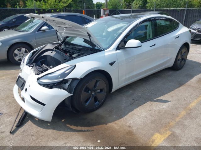 2023 TESLA MODEL 3 5YJ3E1EA9PF659003 Photo 1
