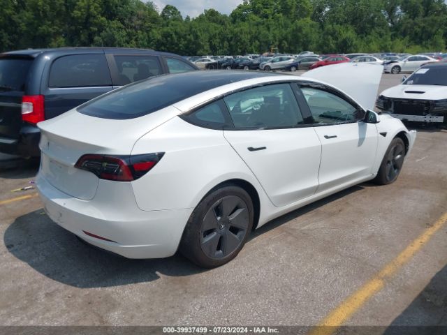 2023 TESLA MODEL 3 5YJ3E1EA9PF659003 Photo 3