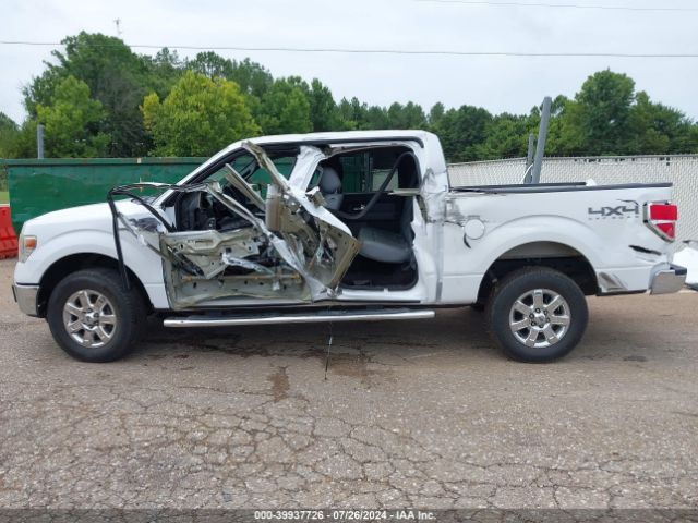 1FTFW1ET0EKF02035 Ford F-150 Xlt