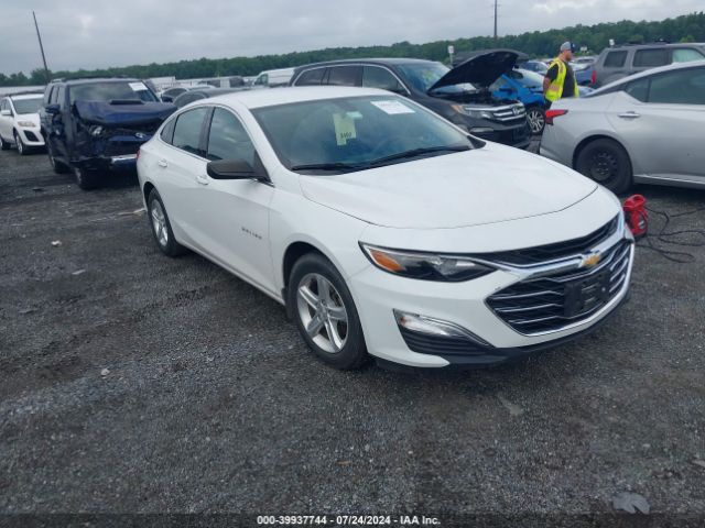 2019 CHEVROLET MALIBU 1G1ZB5STXKF120712