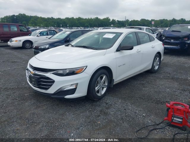 2019 CHEVROLET MALIBU 1G1ZB5STXKF120712 Photo 1