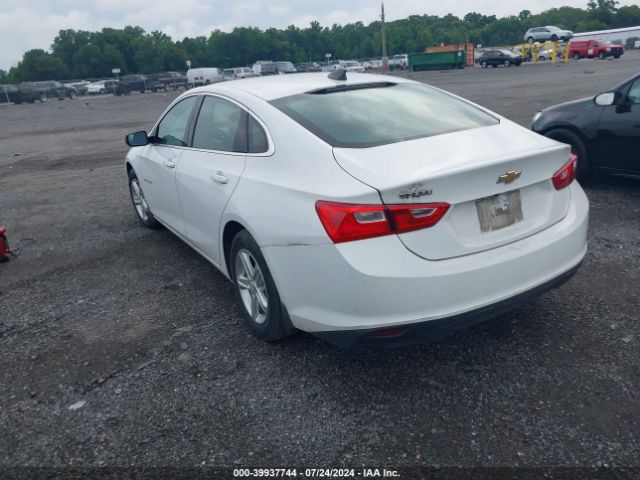 2019 CHEVROLET MALIBU 1G1ZB5STXKF120712 Photo 2