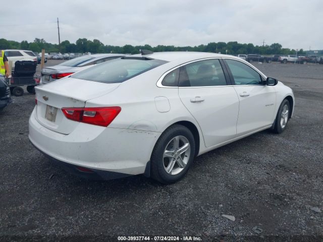 2019 CHEVROLET MALIBU 1G1ZB5STXKF120712 Photo 3