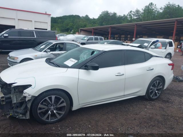1N4AA6AP9GC441575 Nissan Maxima 3.5 Platinum/3.5 S/3.5 Sl/3.5 Sr/3.5 Sv