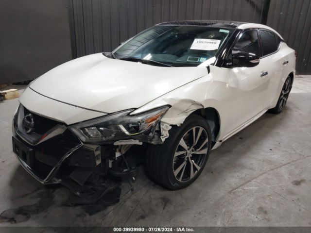 1N4AA6AP5GC901816 Nissan Maxima 3.5 Sl
