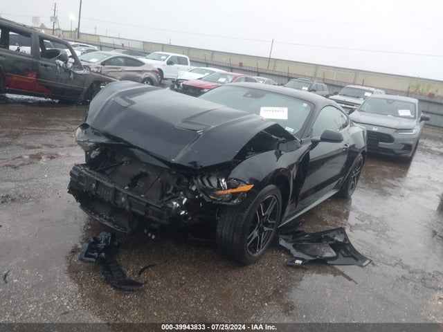 Ford Mustang Ecoboost Fastback 2021 1FA6P8TH4M5135244 Image 2