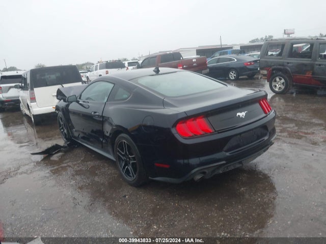 Ford Mustang Ecoboost Fastback 2021 1FA6P8TH4M5135244 Image 3
