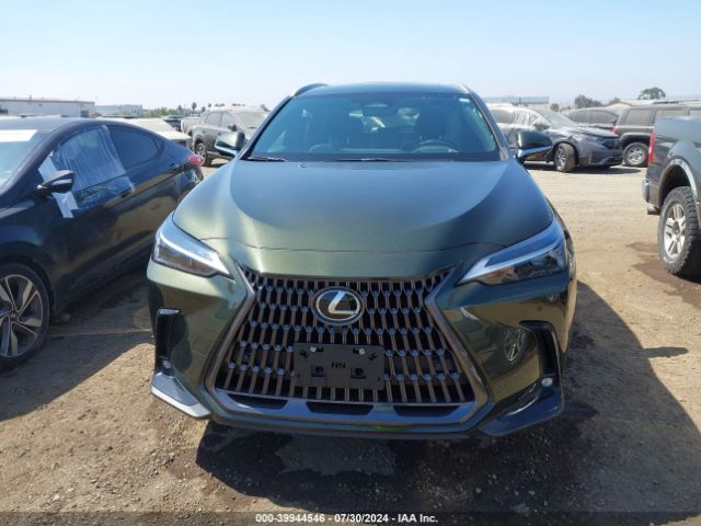 2T2GKCEZ3RC017536 Lexus Nx 350h Premium