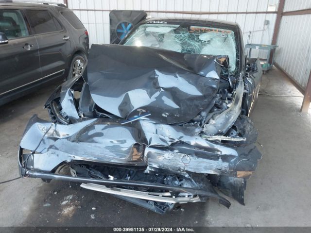 2024 TESLA MODEL Y 7SAYGDEF0RF049445 Photo 5