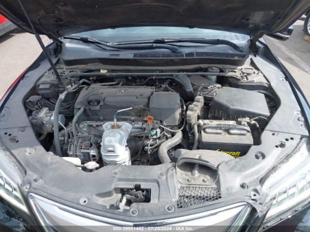 19UUB1F37FA026568 Acura TLX