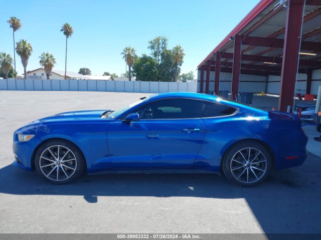 1FA6P8TH1H5239681 Ford Mustang Ecoboost