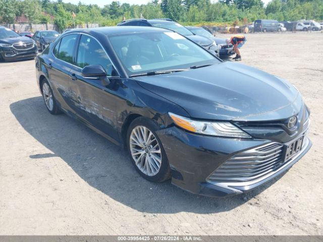 4T1F11AKXLU937380 Toyota CAMRY XLE
