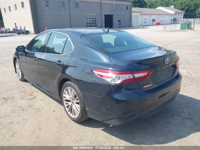 4T1F11AKXLU937380 Toyota CAMRY XLE