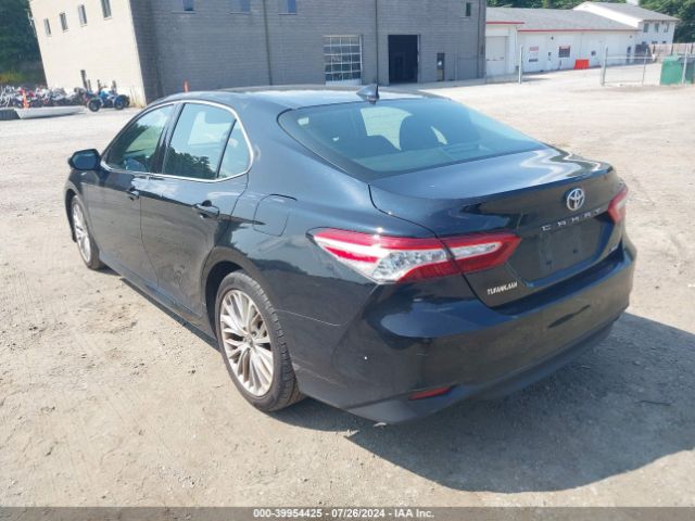 4T1F11AKXLU937380 Toyota CAMRY XLE