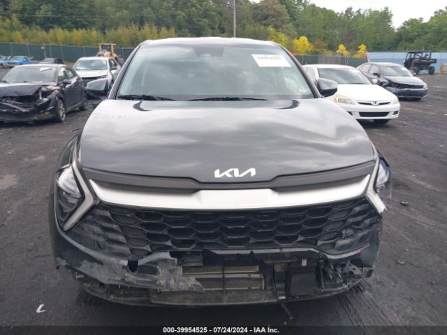 KNDPUCAG4P7063877 KIA Sportage Hybrid Lx